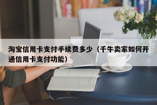 淘宝信用卡支付手续费多少（千牛卖家如何开通信用卡支付功能）
