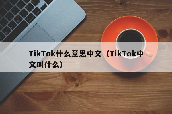 TikTok什么意思中文（TikTok中文叫什么）