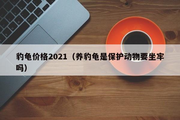 豹龟价格2021（养豹龟是保护动物要坐牢吗）