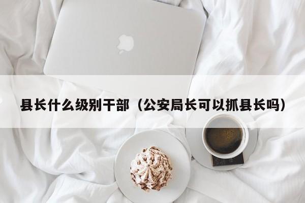 县长什么级别干部（公安局长可以抓县长吗）