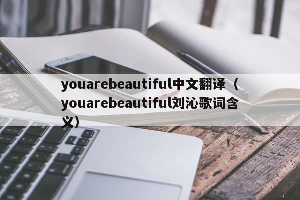 youarebeautiful中文翻译（youarebeautiful刘沁歌词含义）