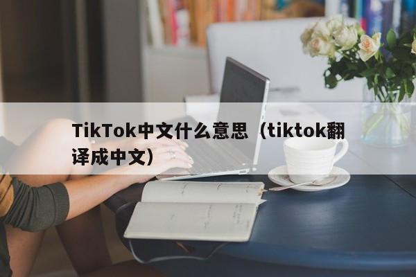 TikTok中文什么意思（tiktok翻译成中文）