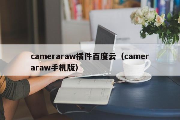 cameraraw插件百度云（cameraraw手机版）