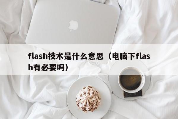 flash技术是什么意思（电脑下flash有必要吗）