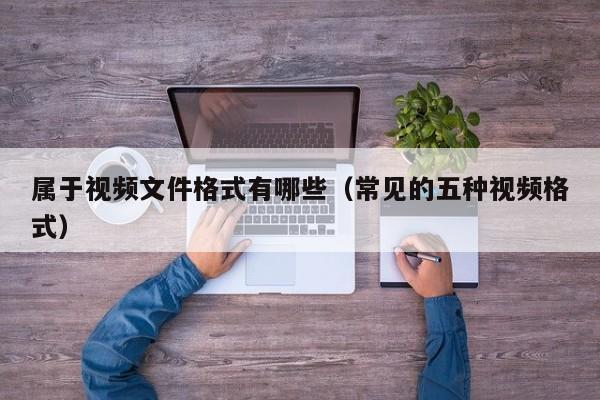 属于视频文件格式有哪些（常见的五种视频格式）