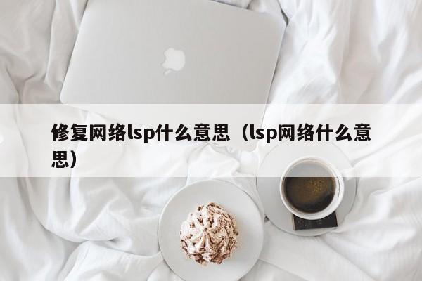 修复网络lsp什么意思（lsp网络什么意思）