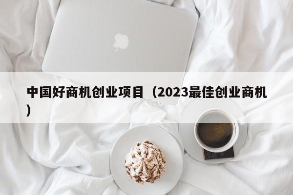 中国好商机创业项目（2023最佳创业商机）