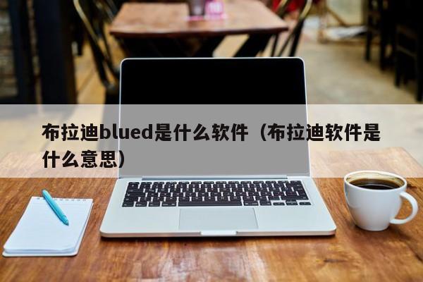 布拉迪blued是什么软件（布拉迪软件是什么意思）