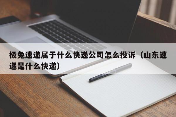 极兔速递属于什么快递公司怎么投诉（山东速递是什么快递）