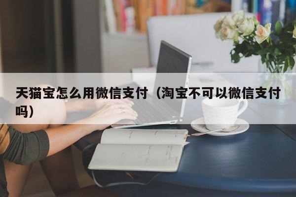 天猫宝怎么用微信支付（淘宝不可以微信支付吗）