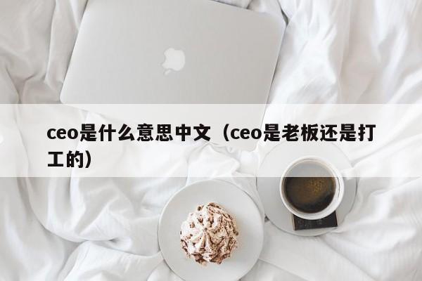 ceo是什么意思中文（ceo是老板还是打工的）