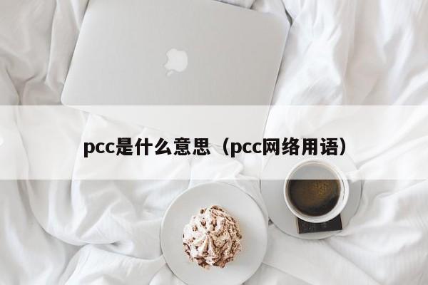 pcc是什么意思（pcc网络用语）