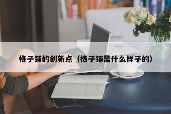 格子铺的创新点（格子铺是什么样子的）