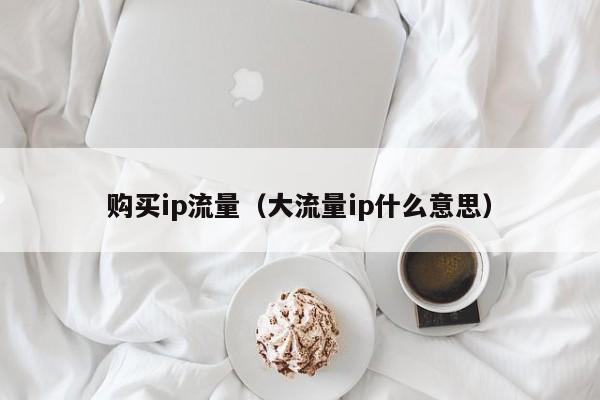 购买ip流量（大流量ip什么意思）