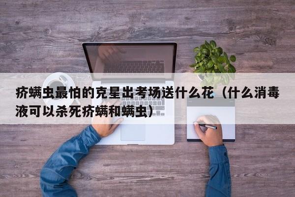 疥螨虫最怕的克星出考场送什么花（什么消毒液可以杀死疥螨和螨虫）