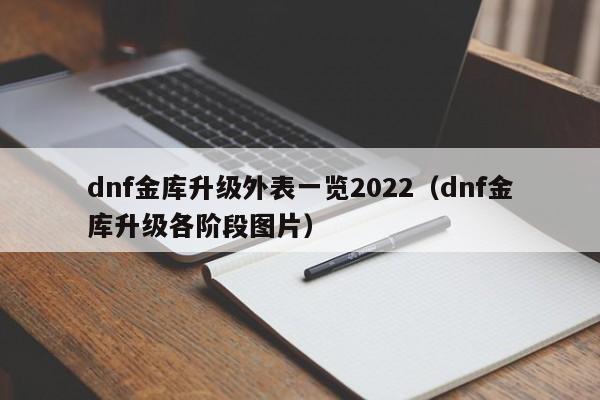 dnf金库升级外表一览2022（dnf金库升级各阶段图片）