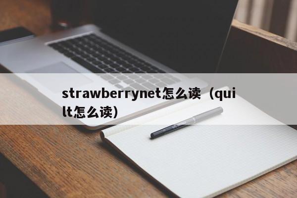 strawberrynet怎么读（quilt怎么读）