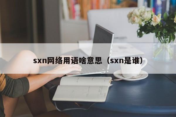 sxn网络用语啥意思（sxn是谁）