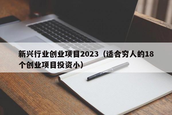新兴行业创业项目2023（适合穷人的18个创业项目投资小）