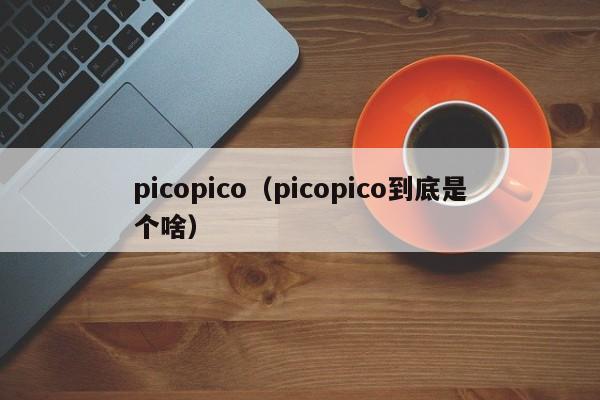 picopico（picopico到底是个啥）