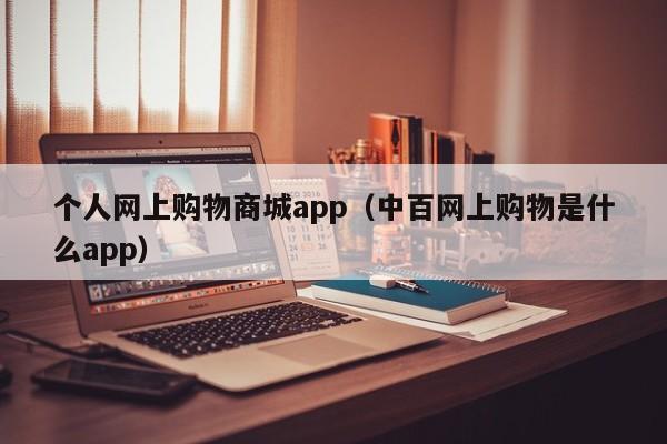 个人网上购物商城app（中百网上购物是什么app）