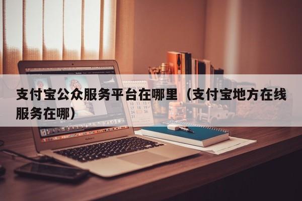 支付宝公众服务平台在哪里（支付宝地方在线服务在哪）