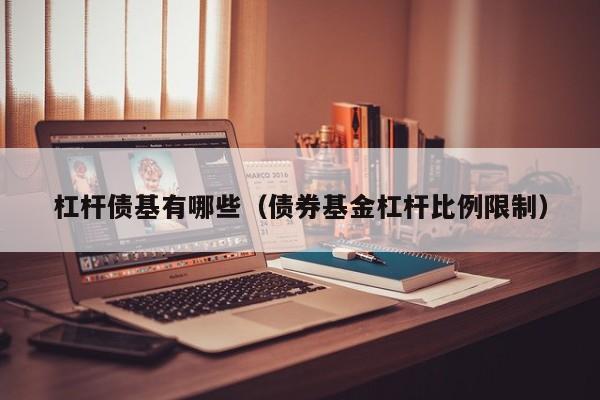 杠杆债基有哪些（债券基金杠杆比例限制）
