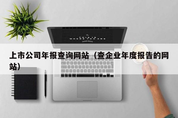 上市公司年报查询网站（查企业年度报告的网站）