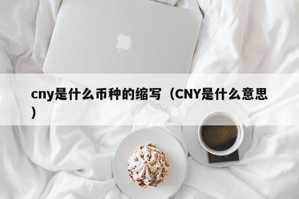 cny是什么币种的缩写（CNY是什么意思）