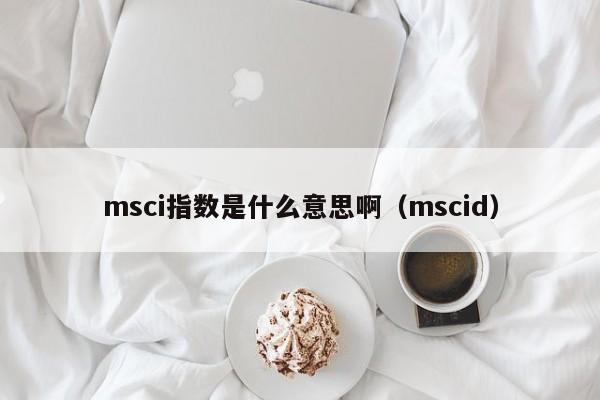 msci指数是什么意思啊（mscid）