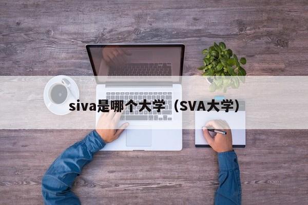 siva是哪个大学（SVA大学）