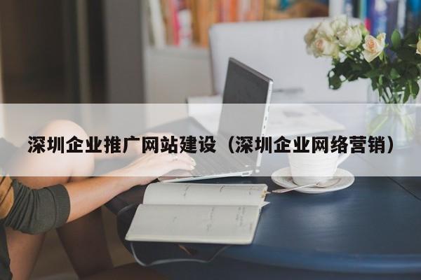 深圳企业推广网站建设（深圳企业网络营销）