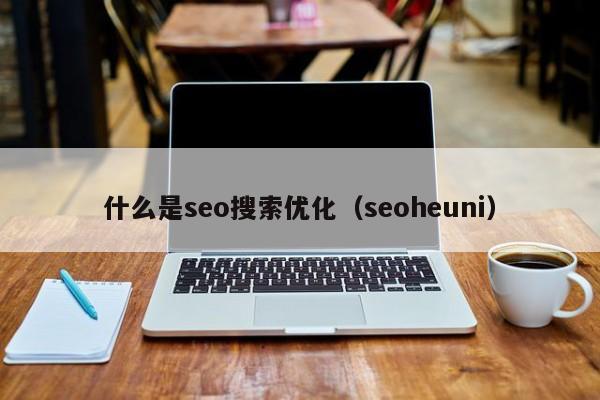 什么是seo搜索优化（seoheuni）