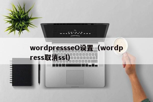 wordpressseO设置（wordpress取消ssl）