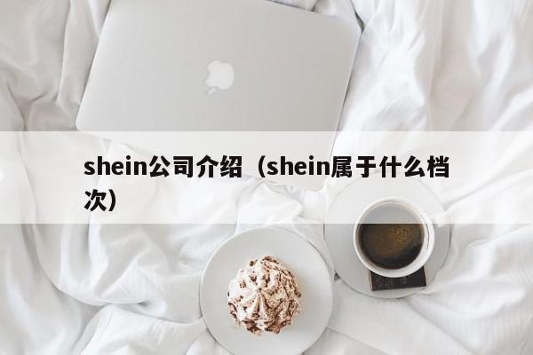 shein公司介绍（shein属于什么档次）