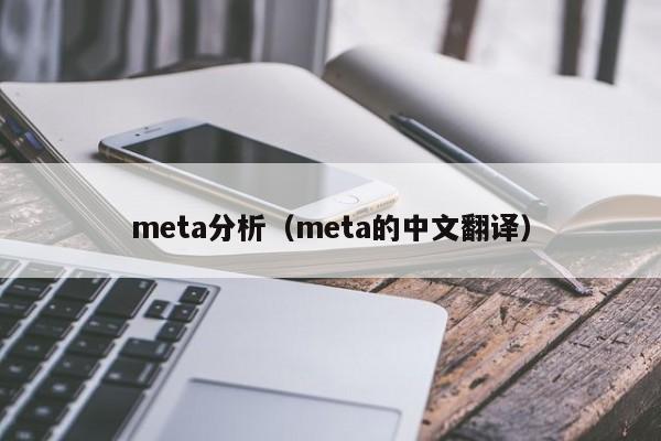 meta分析（meta的中文翻译）