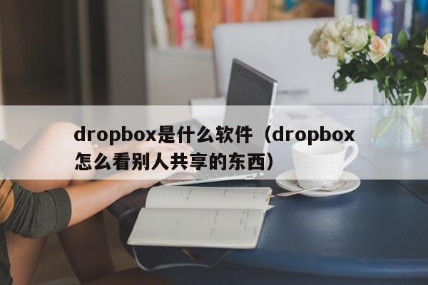 dropbox是什么软件（dropbox怎么看别人共享的东西）