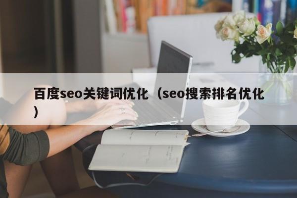 百度seo关键词优化（seo搜索排名优化）