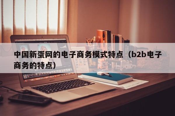 中国新蛋网的电子商务模式特点（b2b电子商务的特点）
