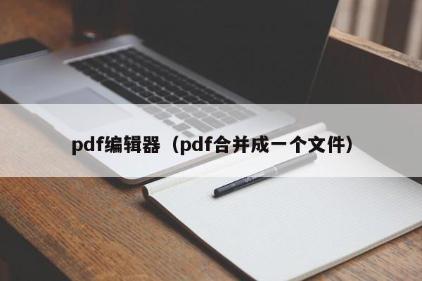 pdf编辑器（pdf合并成一个文件）