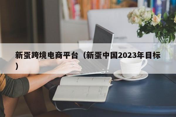 新蛋跨境电商平台（新蛋中国2023年目标）