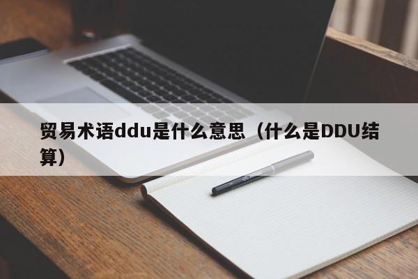贸易术语ddu是什么意思（什么是DDU结算）
