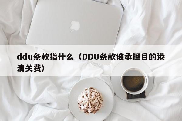 ddu条款指什么（DDU条款谁承担目的港清关费）