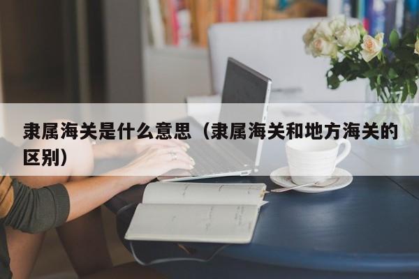 隶属海关是什么意思（隶属海关和地方海关的区别）