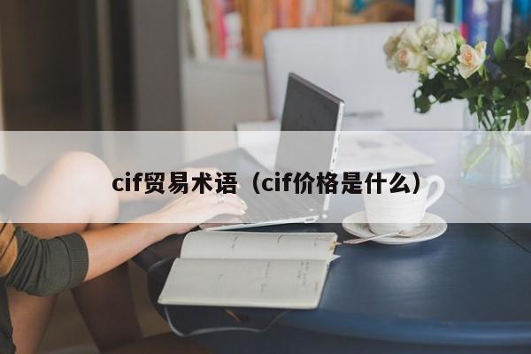 cif贸易术语（cif价格是什么）