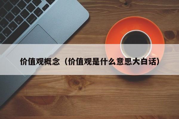 价值观概念（价值观是什么意思大白话）