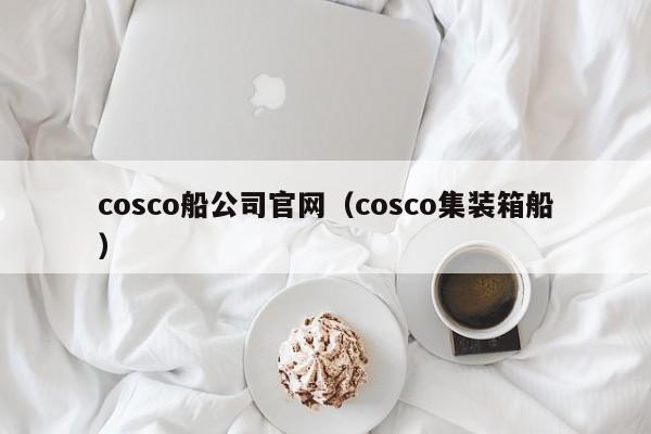cosco船公司官网（cosco集装箱船）