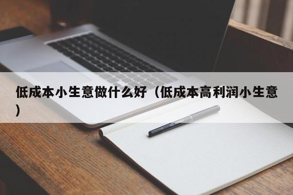 低成本小生意做什么好（低成本高利润小生意）