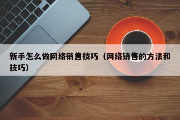 新手怎么做网络销售技巧（网络销售的方法和技巧）