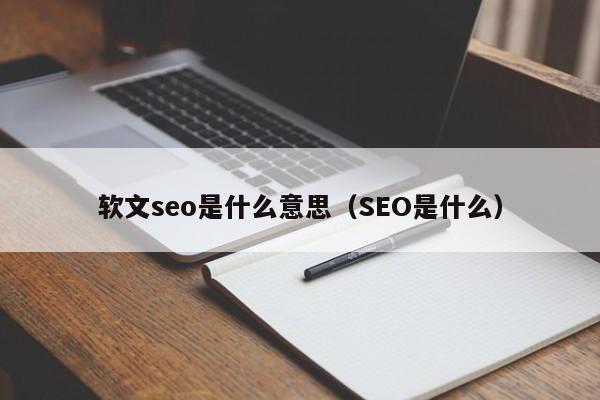 软文seo是什么意思（SEO是什么）